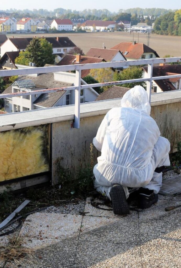 Schadstoffentfernung am Dach